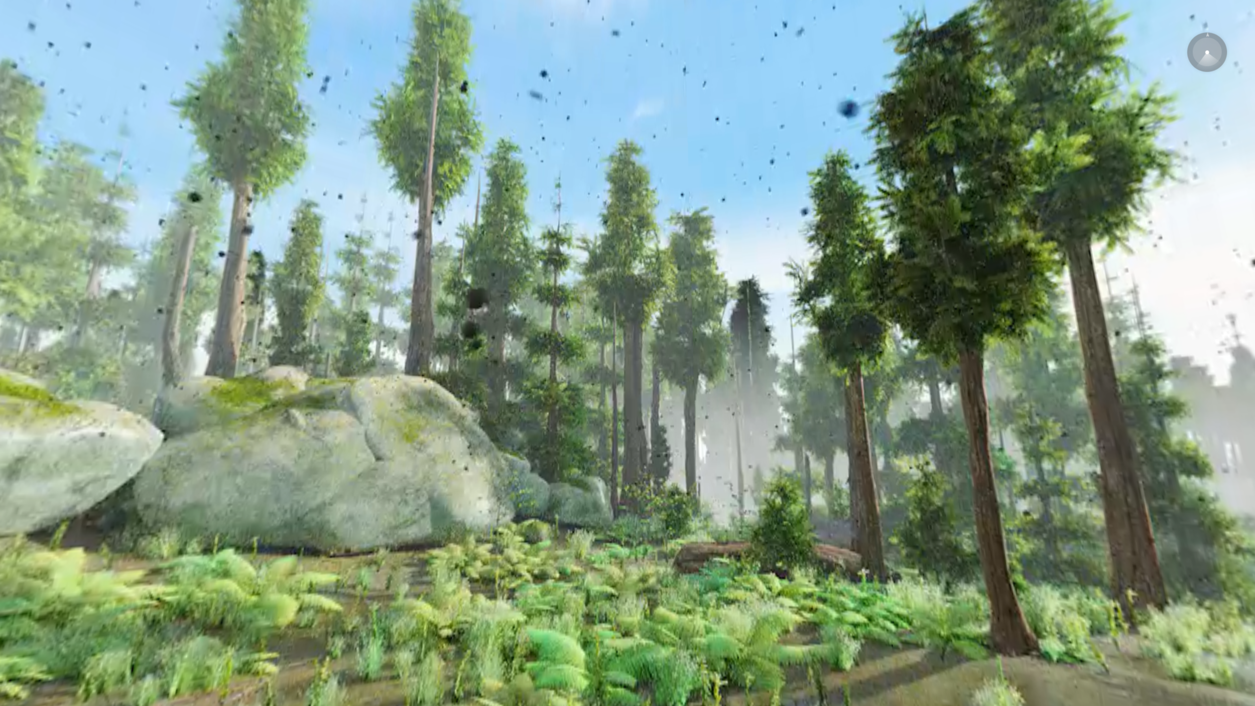 MPVR Forest.PNG