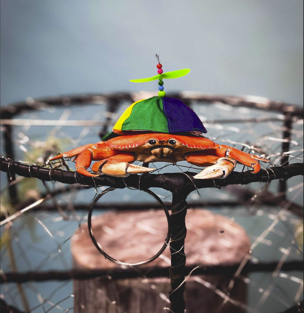 CrabsFilming5.PNG